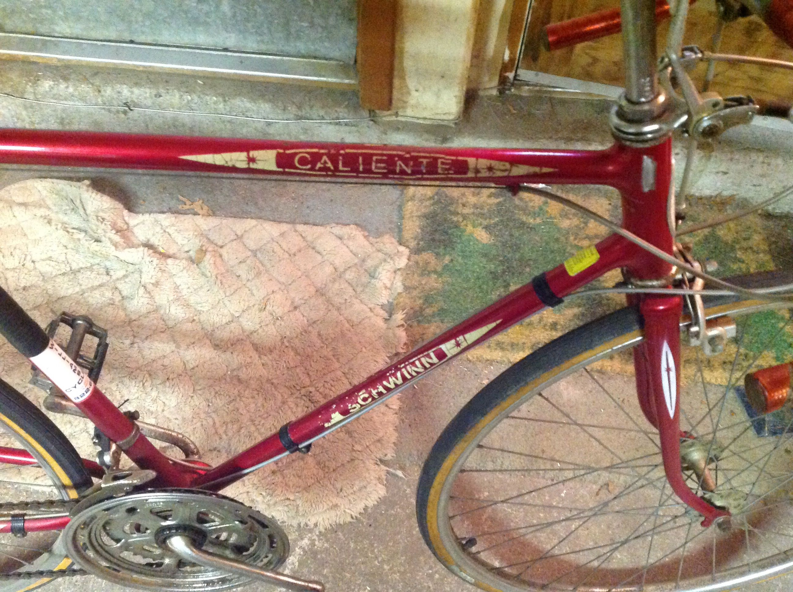 Vintage 1979 Schwinn Caliente 10 Speed Bike