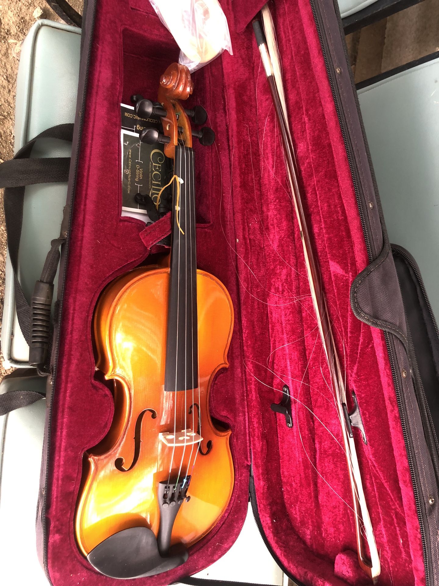 Violin
