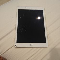 Apple IPad