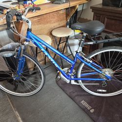12 Speed Bike