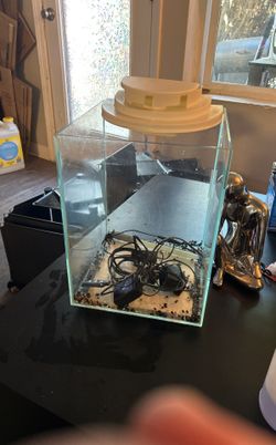 Top Fin 10 Gallon Rimless Tank
