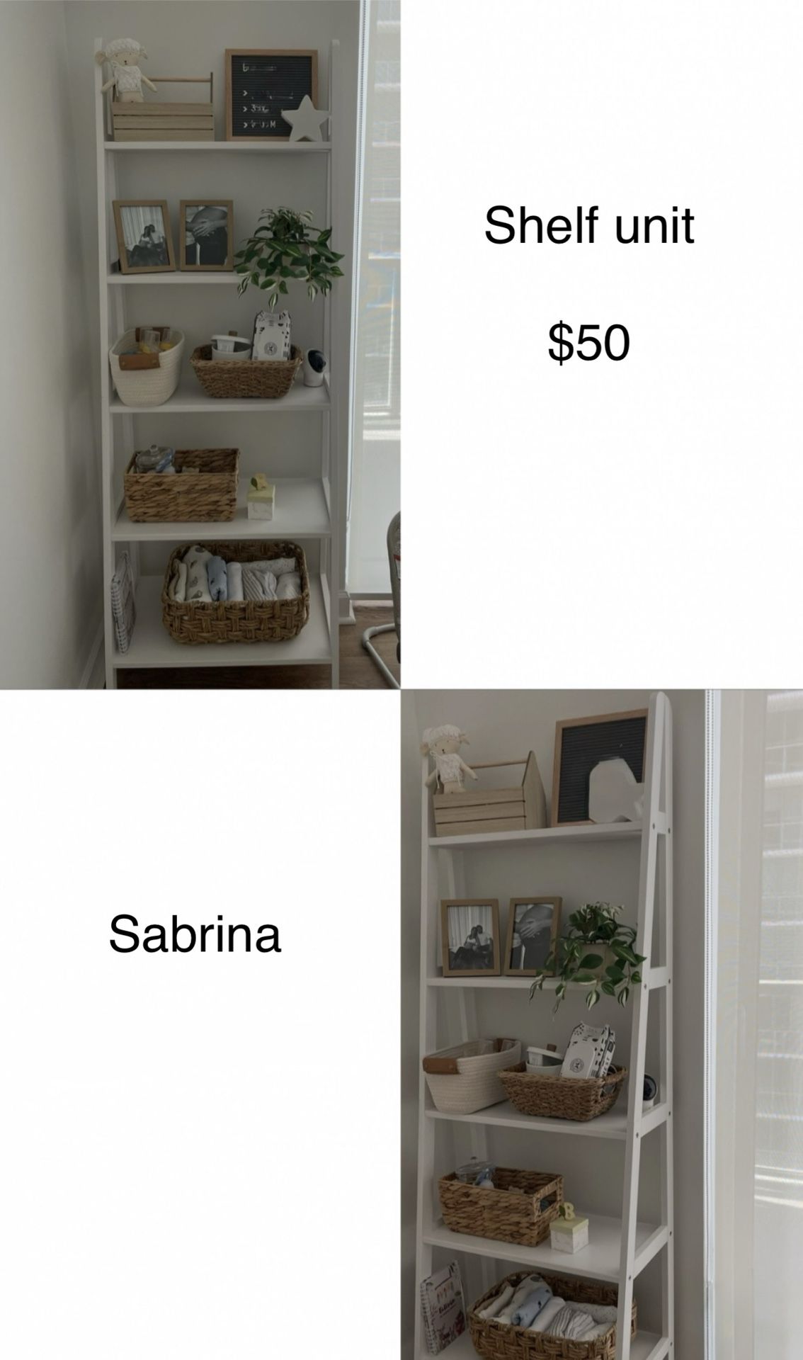 Shelf Unit Bookcase