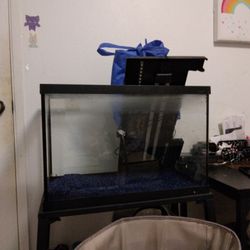 20 Gallon Fish Tank 100 Lmk