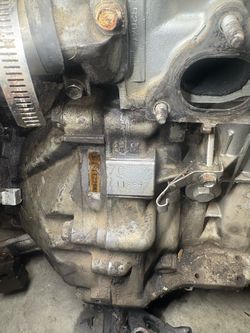 D16zc/y8 head