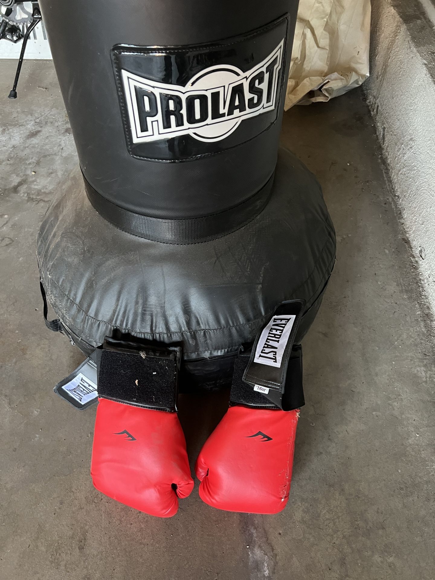 Prolast freestanding speed bag with Everlast gloves for kickboxing / boxing