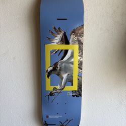 8.25” Element skateboard