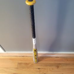 Easton Cyclone Baseball Bat
