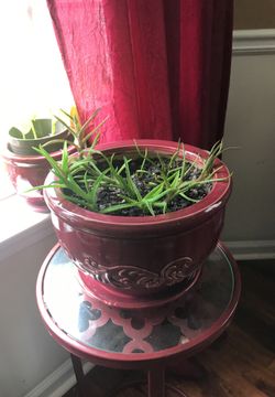 Nice burgundy ceramic planter