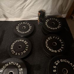 Home Gym Setup (Need Gone ASAP)