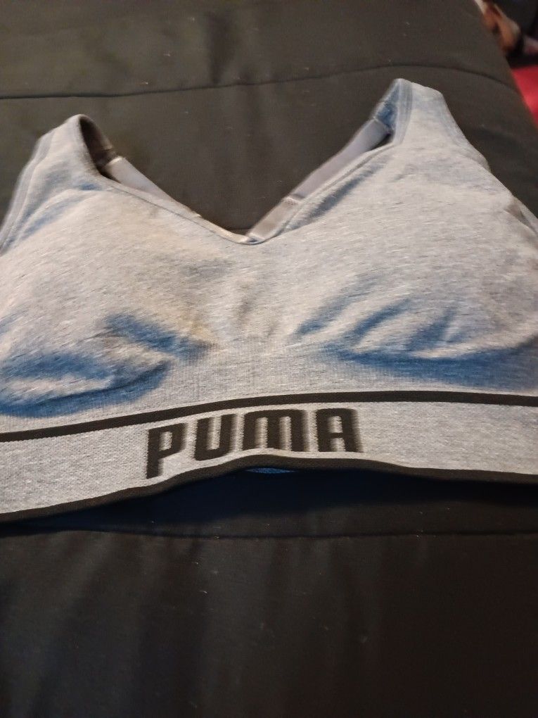 Puma