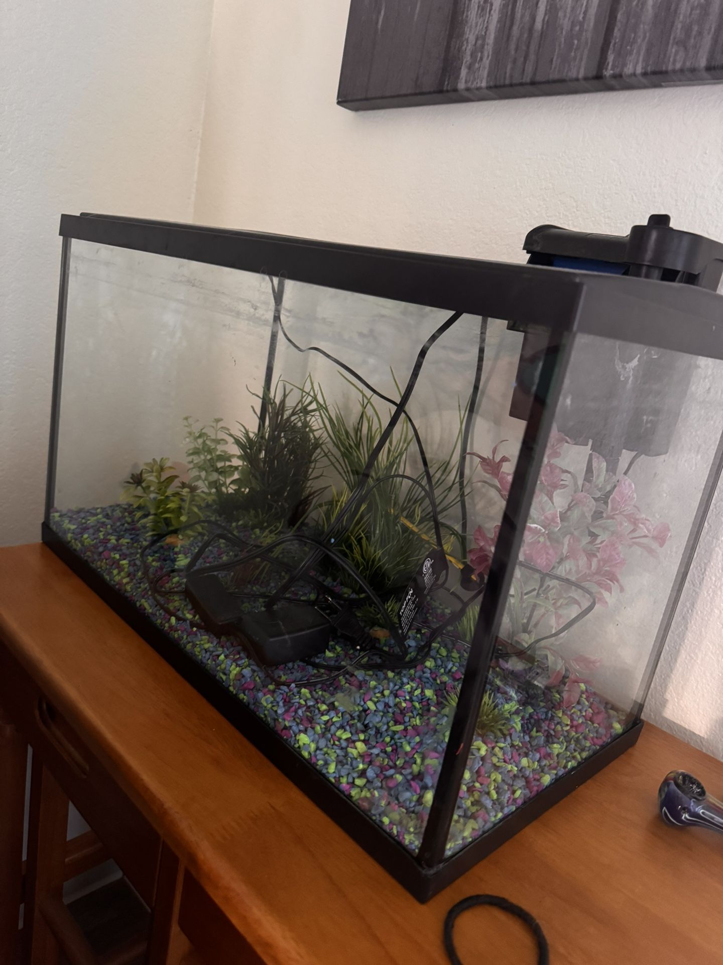 20 Gallon Fish Tank