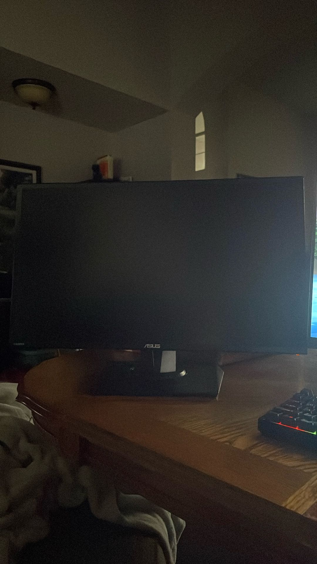 Asus Monitor