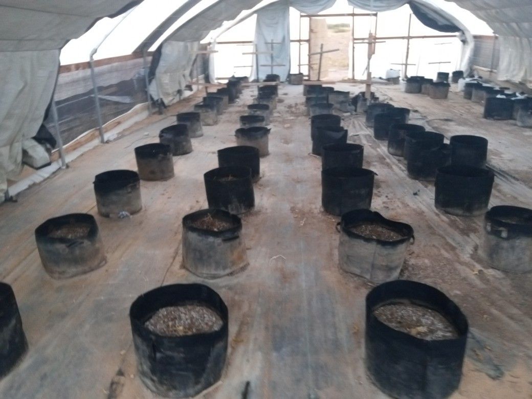 . Tunnel Greenhouses , 21 Feet Long to 45 Long X. 25 Feet Wide X 12 Foot High Basic Green Houses Set Up In A Day Starting @499.99 Won't Last Long
