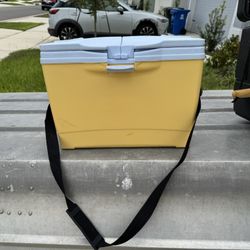 Slim Portable Cooler