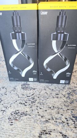2 Pendant Lights 
