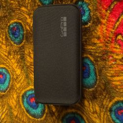 GoPro Carry Case