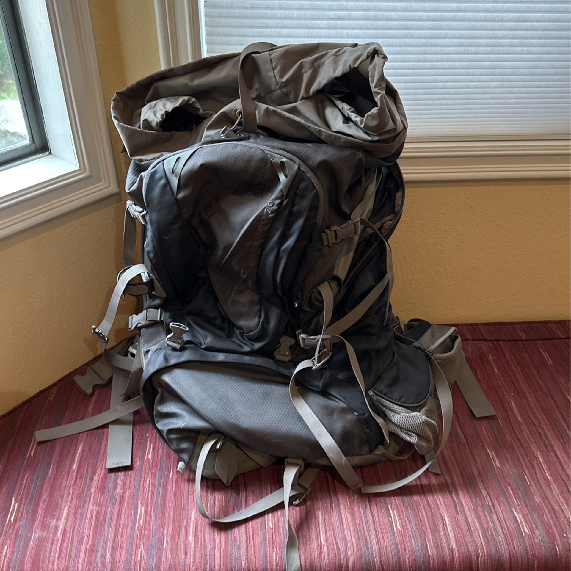 Gregory Baltoro 70L Backpack