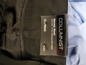 Express Dress Pants