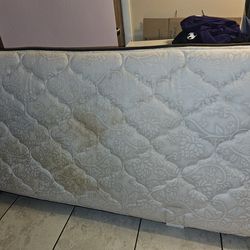 twin mattress free