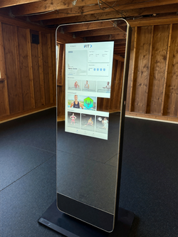 NordicTrack Vault Fitness Mirror – Like New, 60-Inch Screen - Madison, AL