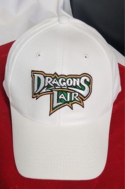 Dragons Lair Hat.  Rare