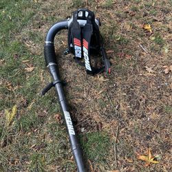 Echo Backpack Blower