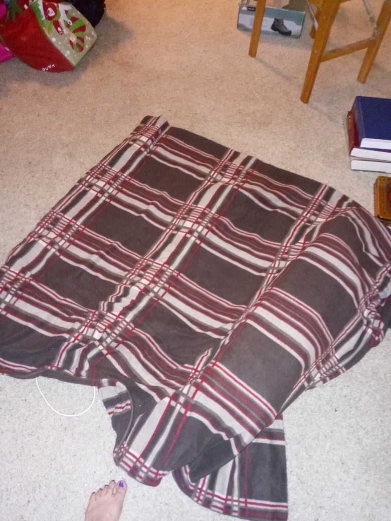 2 Large Heating Blankets! Different Temp Controls And Very Comfy! Brown N Blue Colors! Used Few Times Only n No Damages! Take Both For $5 Total!!