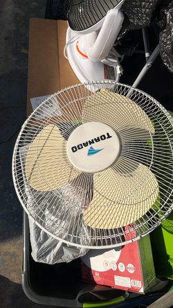 Wall mounted fan