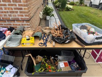 Reptile and bird supplies