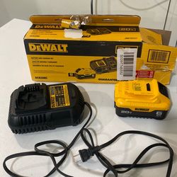 Dewalt 20v battery and charger