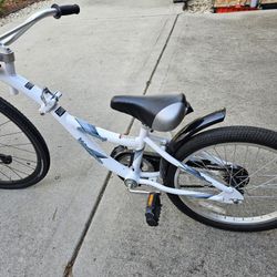 WeeRide Co Pilot Trailer Child Bike 