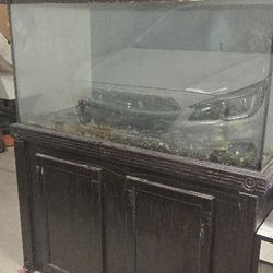 120 Gallon Glass Complete Aquarium 