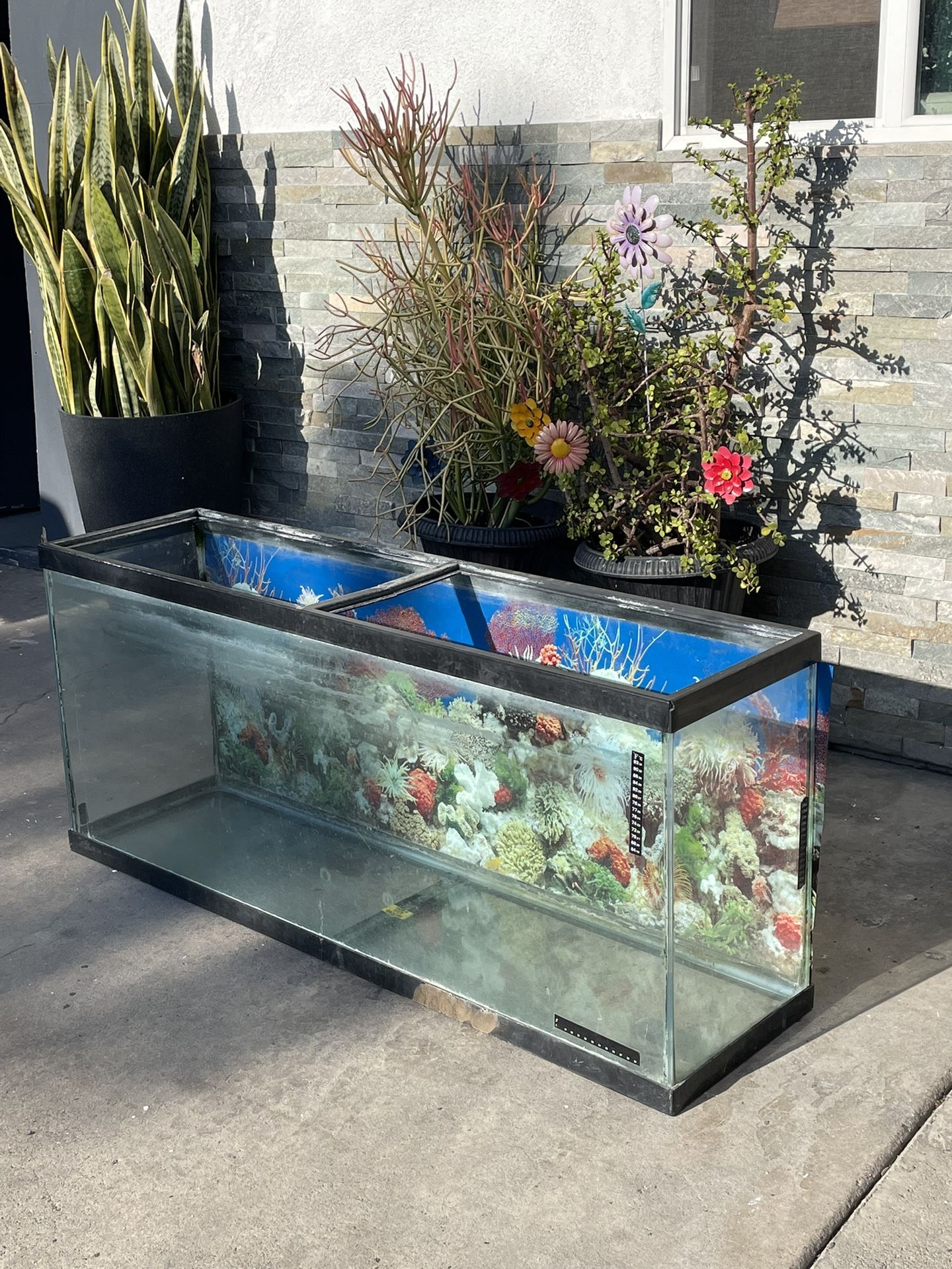 75 Gallon Fish Tank