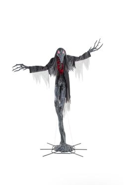 Halloween Animated LED Gally-Crow