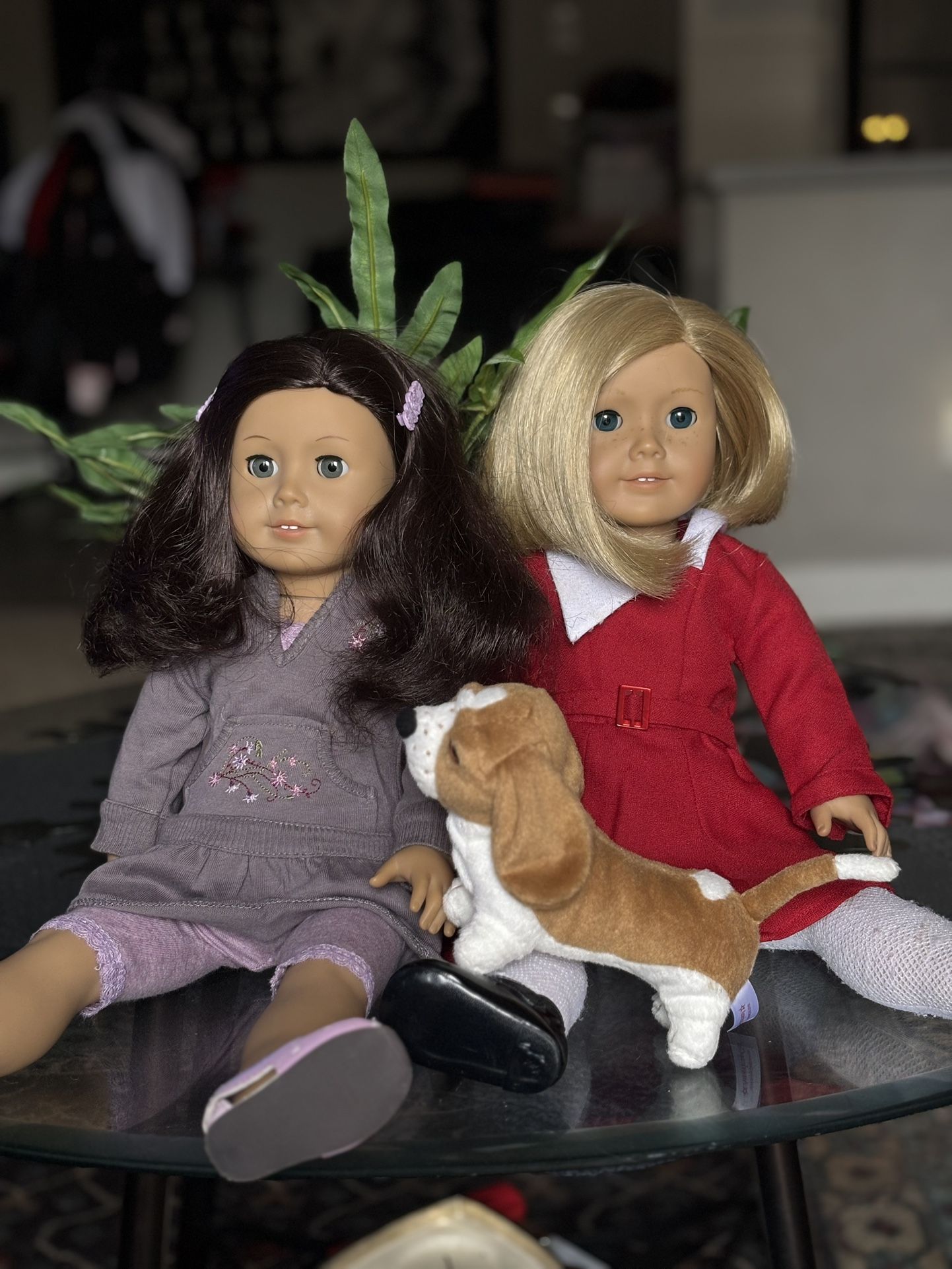 An American Girl Doll: Ruthie And Kit