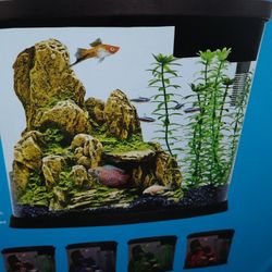 Small Fish Tank New What Everything $40