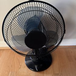 Fan
