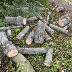 Firewood Round 