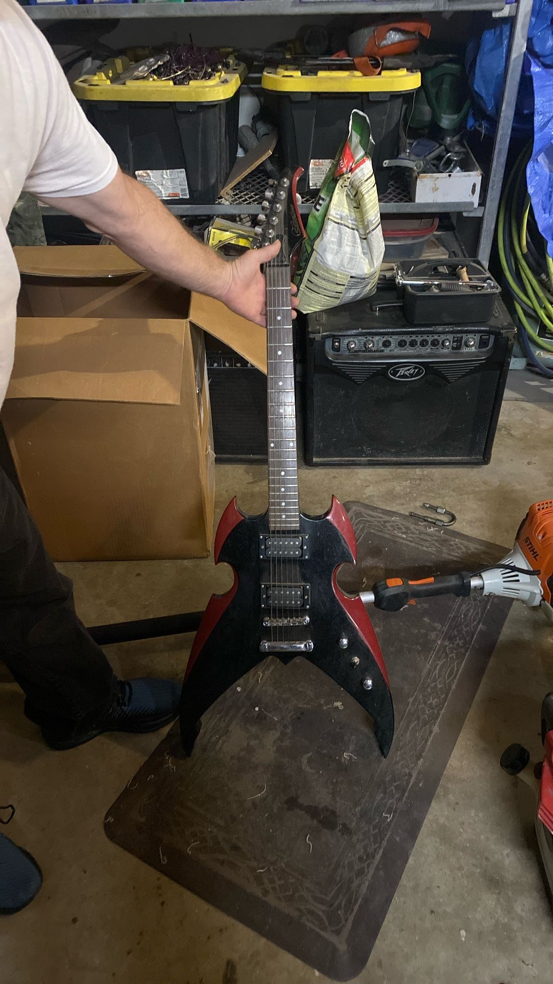 Guitar