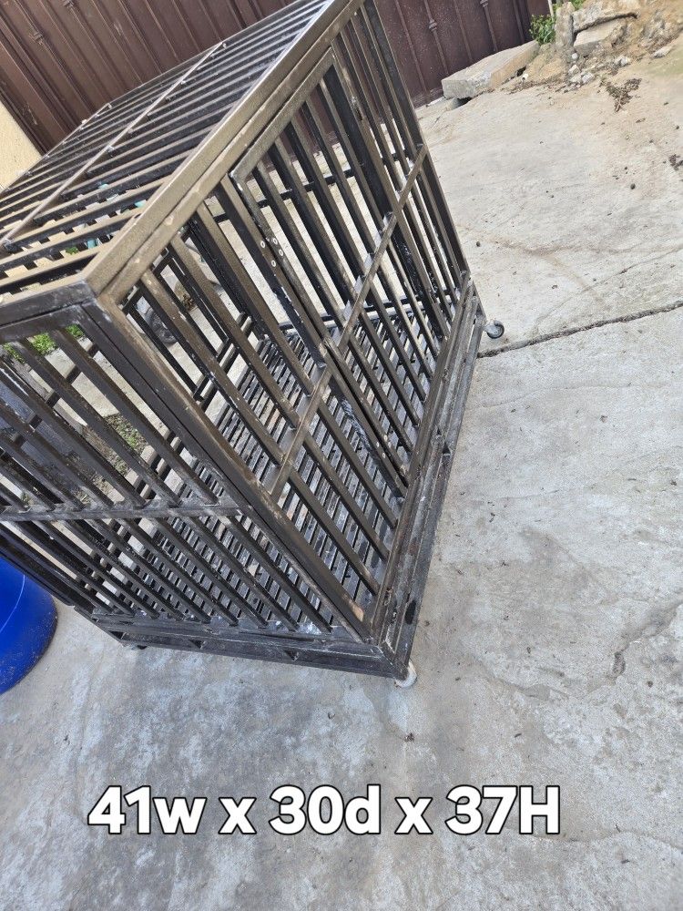 Pet Crate 