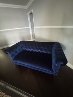 Beautiful blue couches