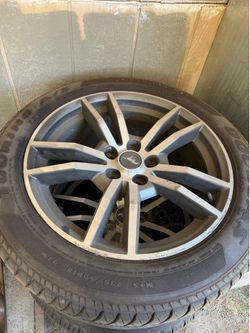 Mustang rims