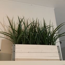Fake Plant