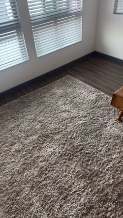 Large Shag Area Rug