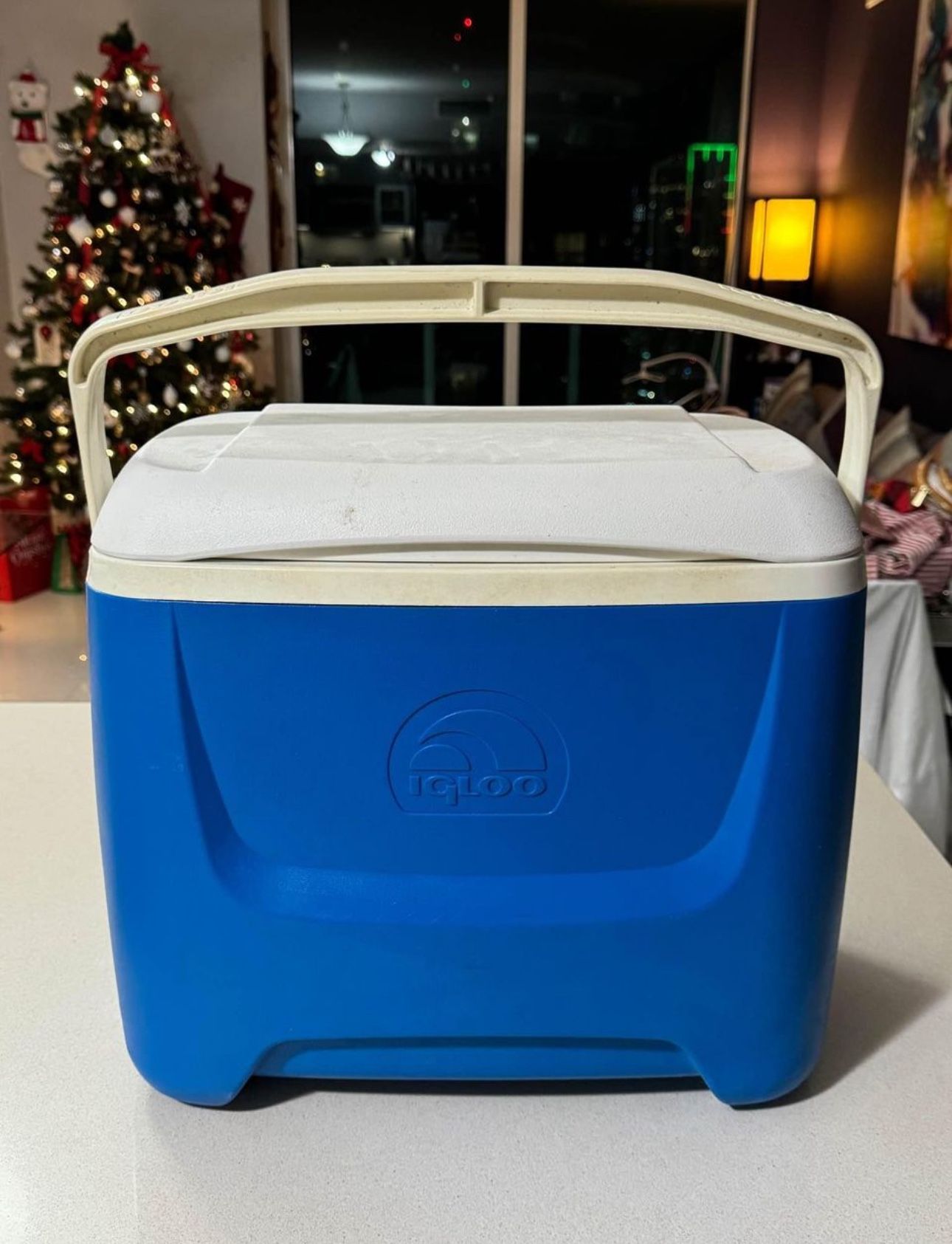 Igloo 30 Qt Cooler