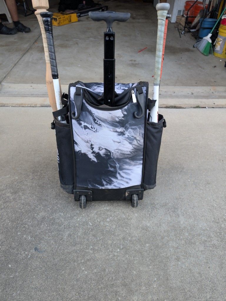 Baseball Bag, Bats, Gloves, Sliding Mit, and Helmet
