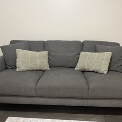 Barely Used Couch $100
