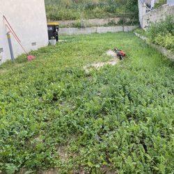 Jardinero