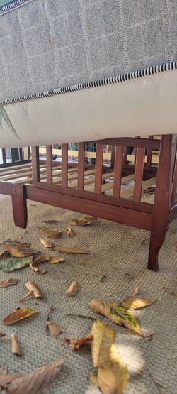 Cama