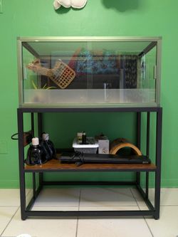 Bearded Dragon Setup -Phailozoo Tank, Zoomed lights